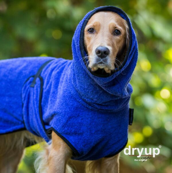 Dryup Cape – Bild 7