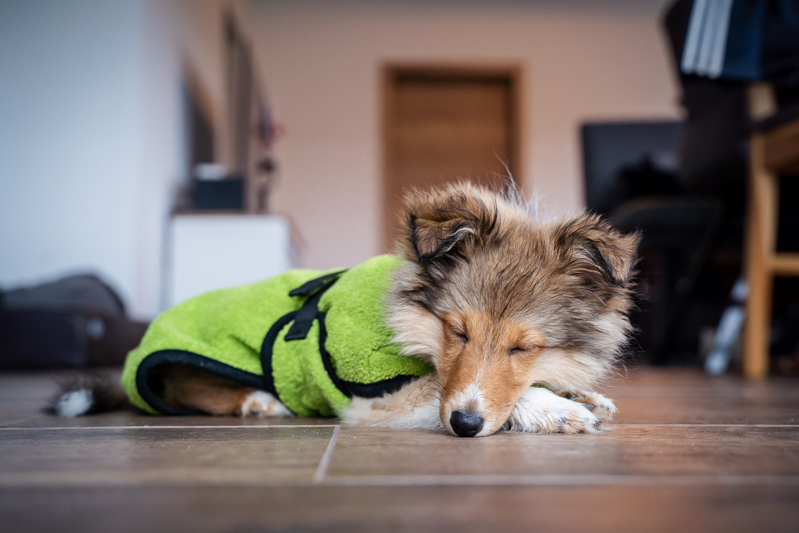 Dryup Cape – Bild 4