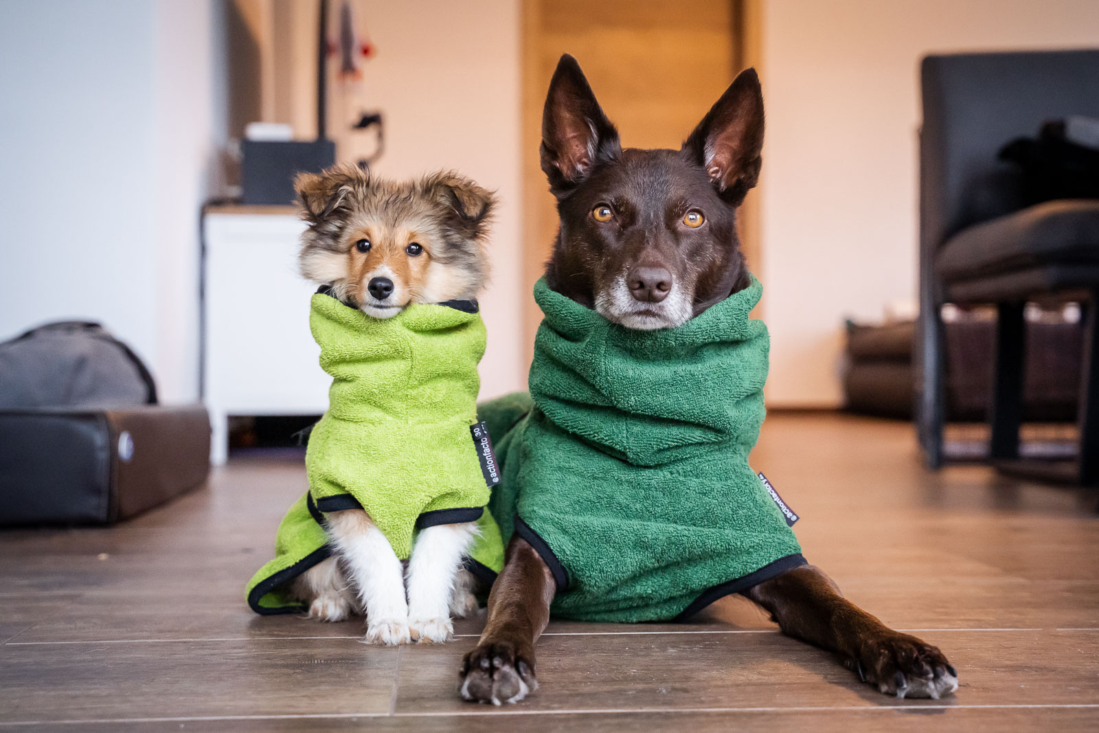 Dryup Cape – Bild 3