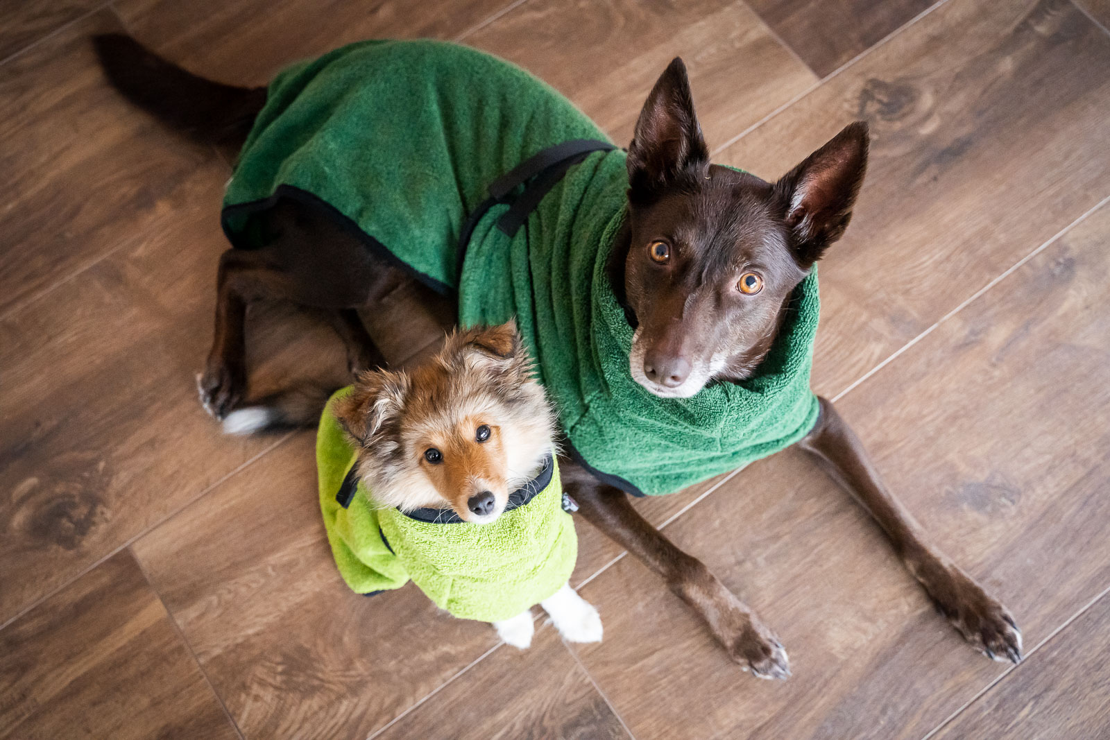 Dryup Cape – Bild 2