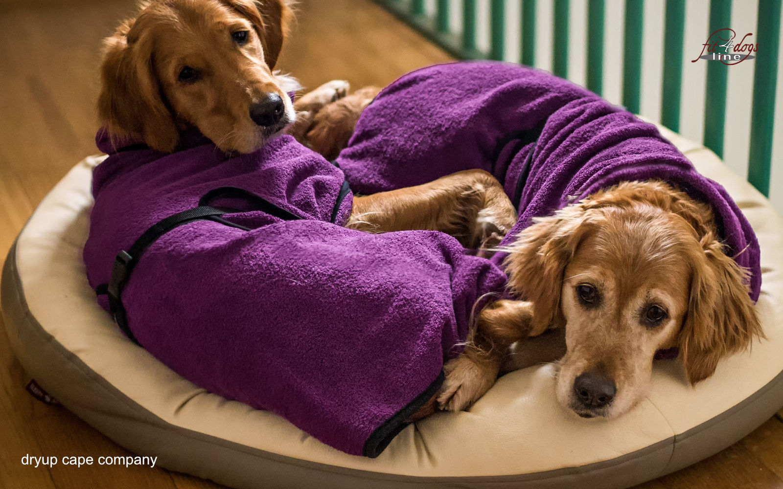 Dryup Cape – Bild 6