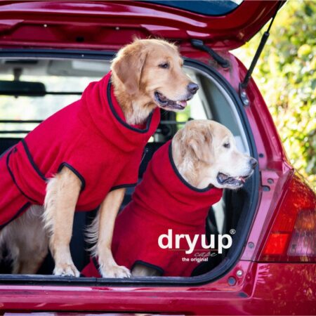 Dryup cape Standard rot