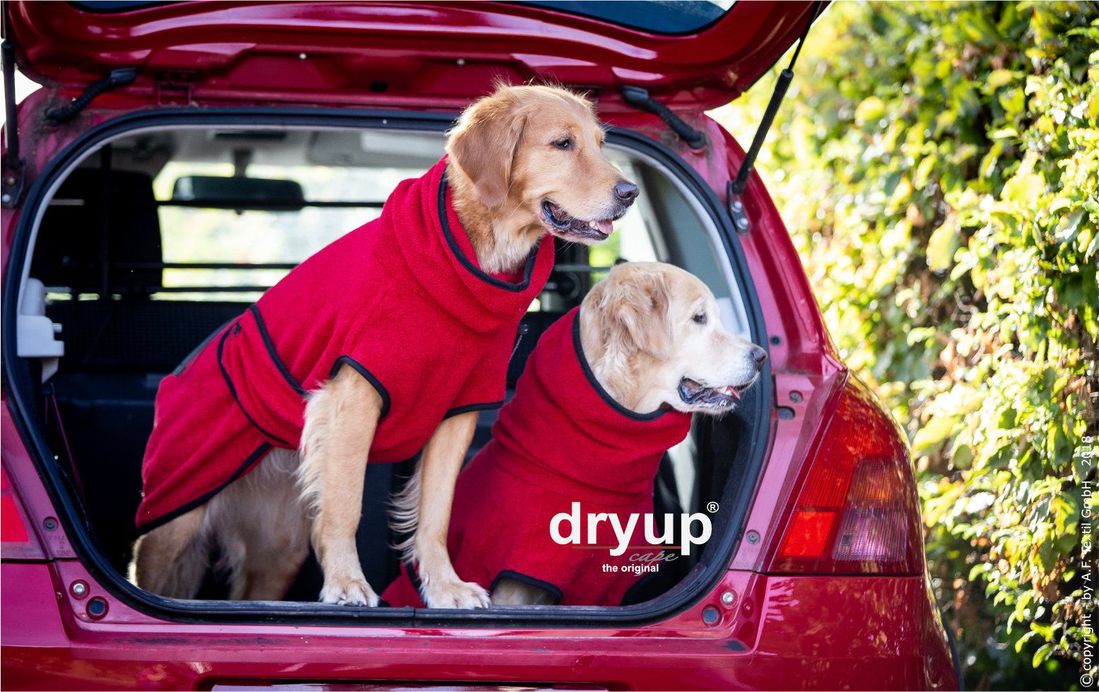 Dryup cape Standard rot