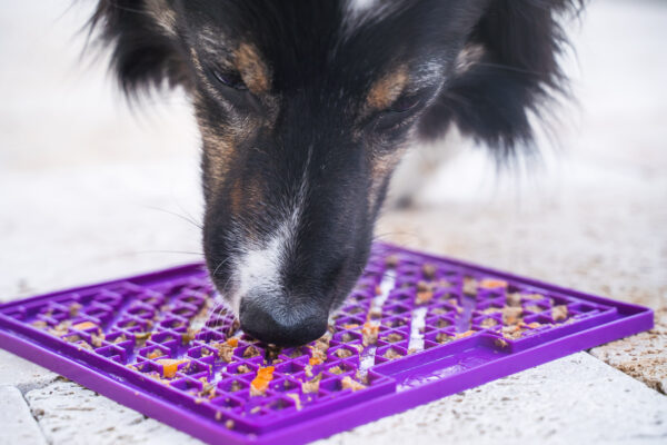 LickiMat® Classic – Bild 4