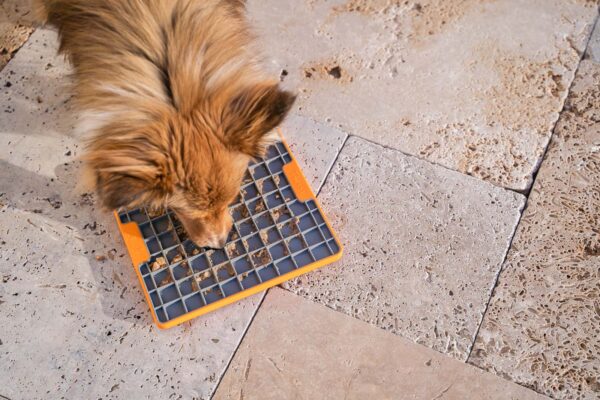 LickiMat® Tuff – Bild 5
