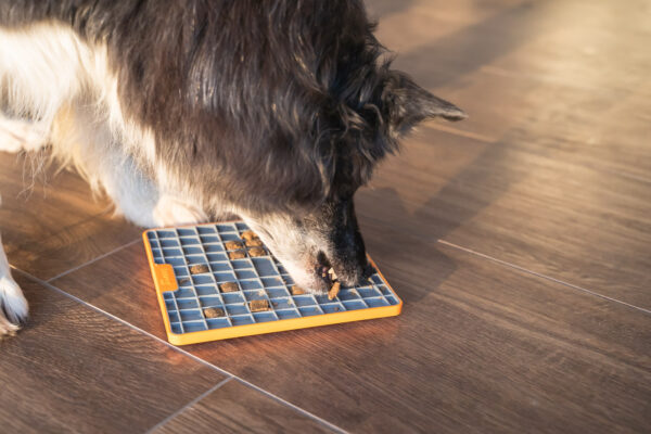 LickiMat® Tuff – Bild 3