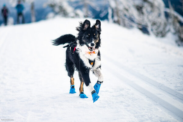 Non-stop Long-Distance Socken – Bild 2