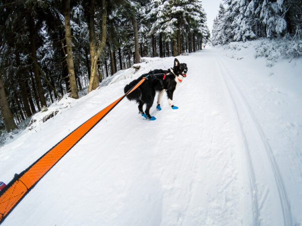 Non-stop Long-Distance Socken – Bild 3