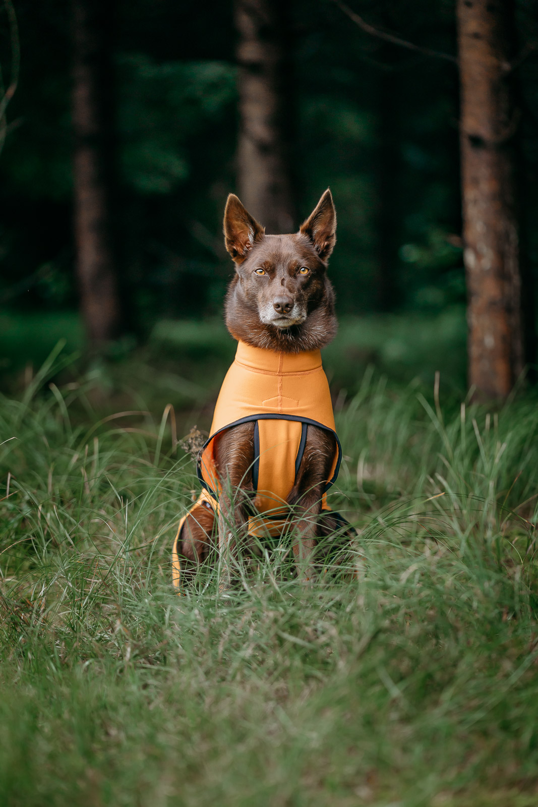 Out-n-out® Power Stretch – Bild 6