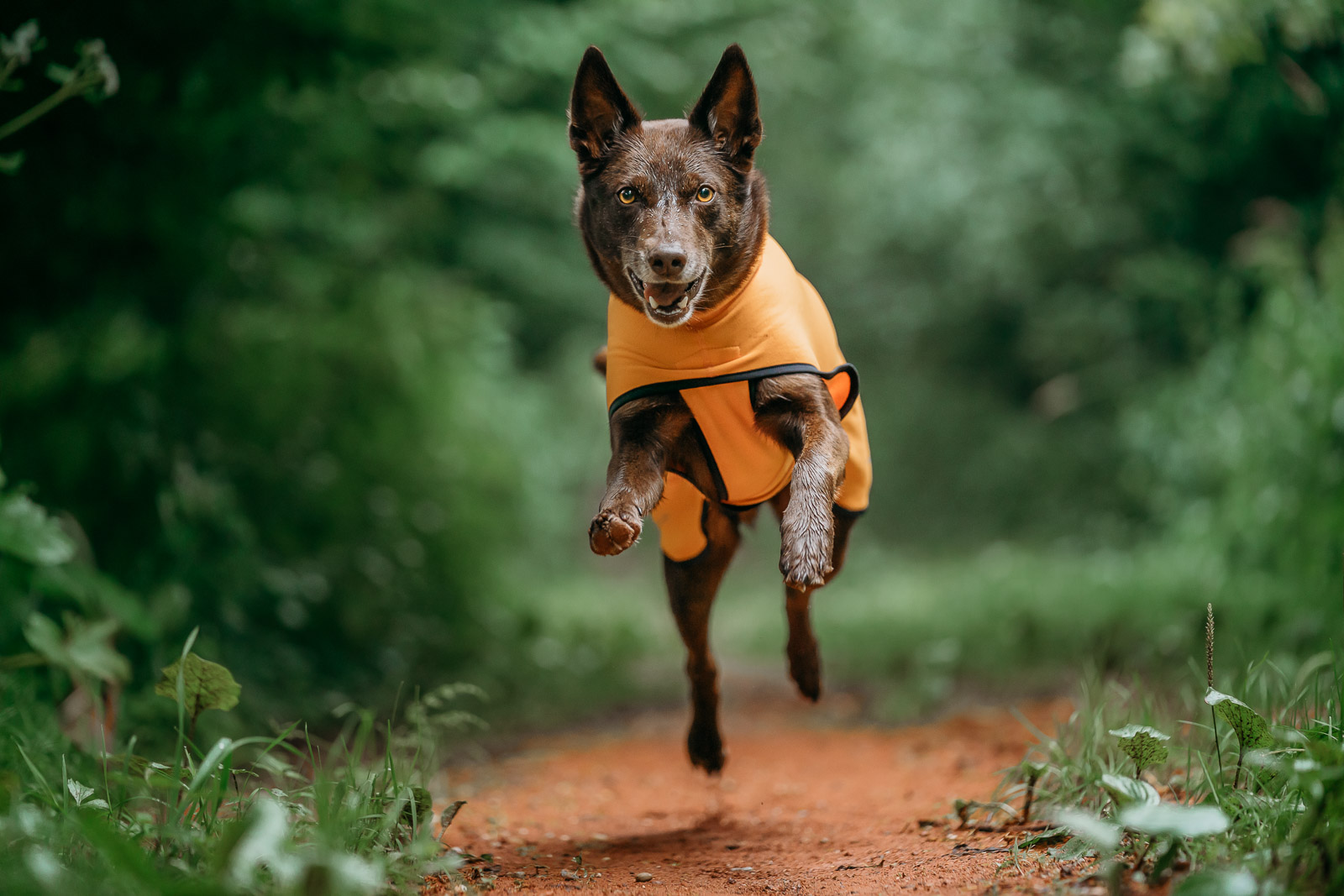 Out-n-out® Power Stretch – Bild 8