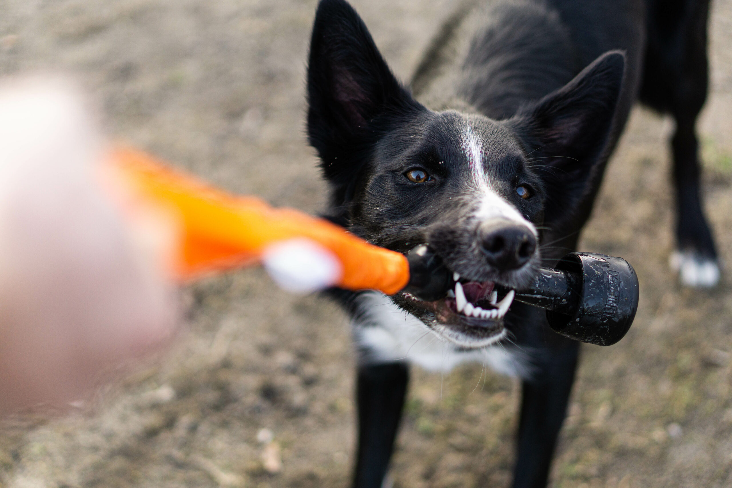 reToy short – Bild 7