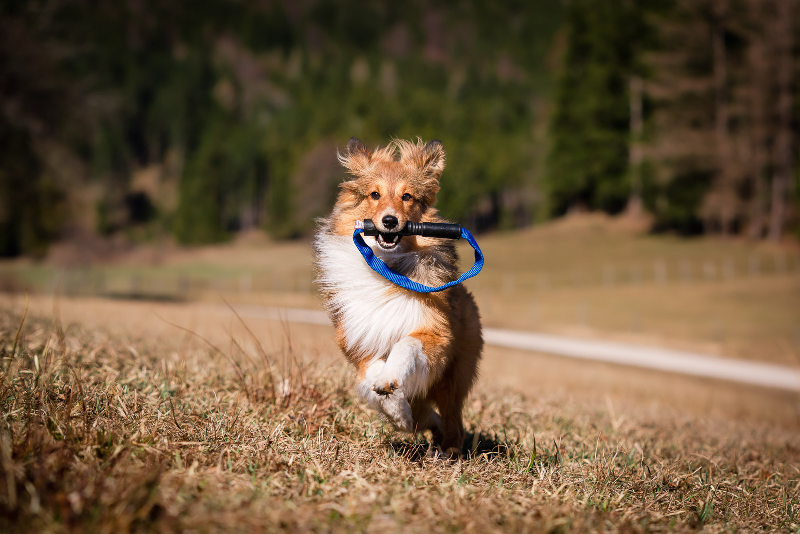 reToy toGo! – Bild 2