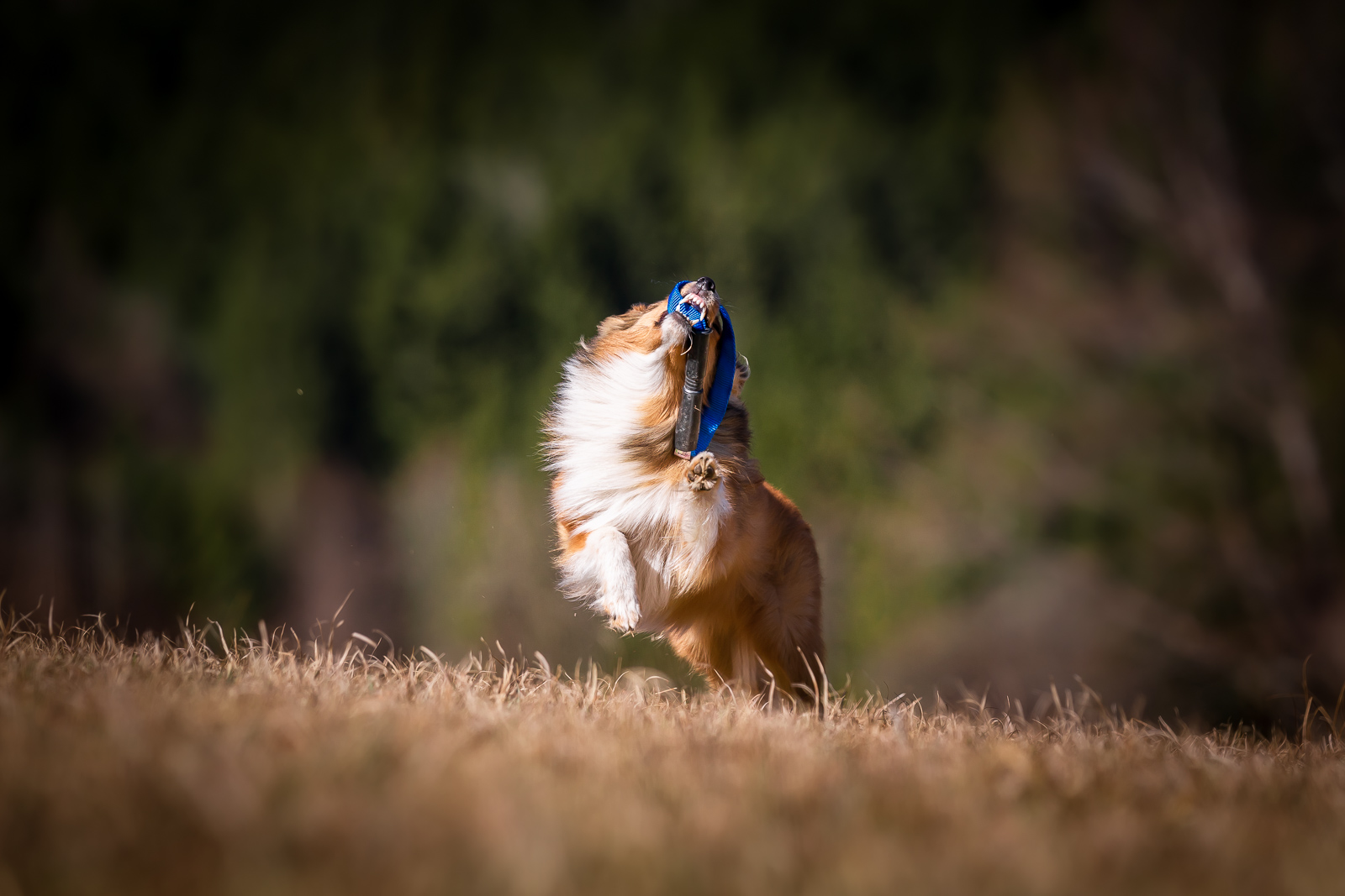 reToy toGo! – Bild 3