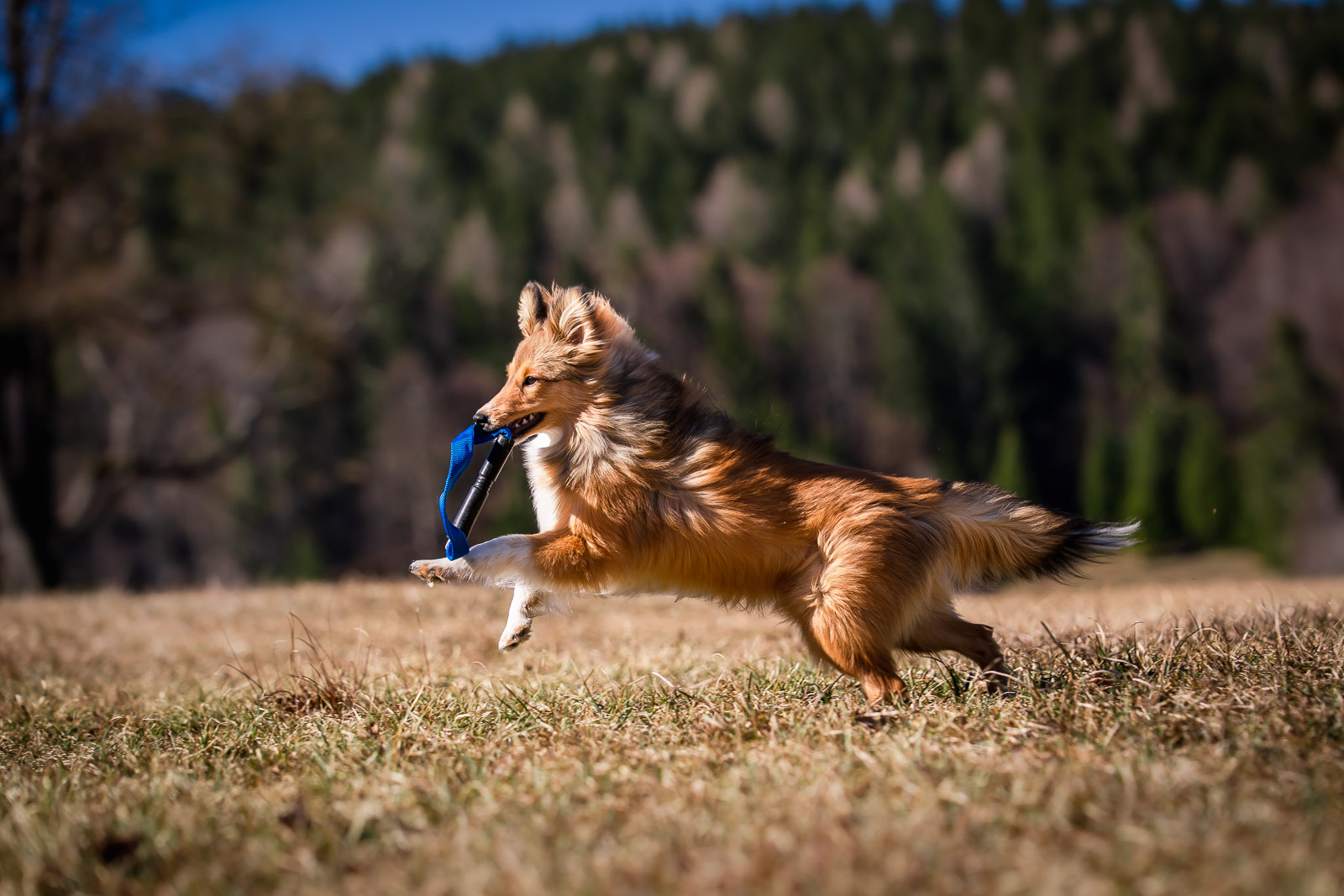 reToy toGo! – Bild 4